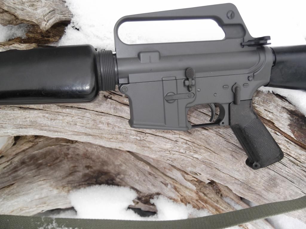 50 Shades of Colt Gray!